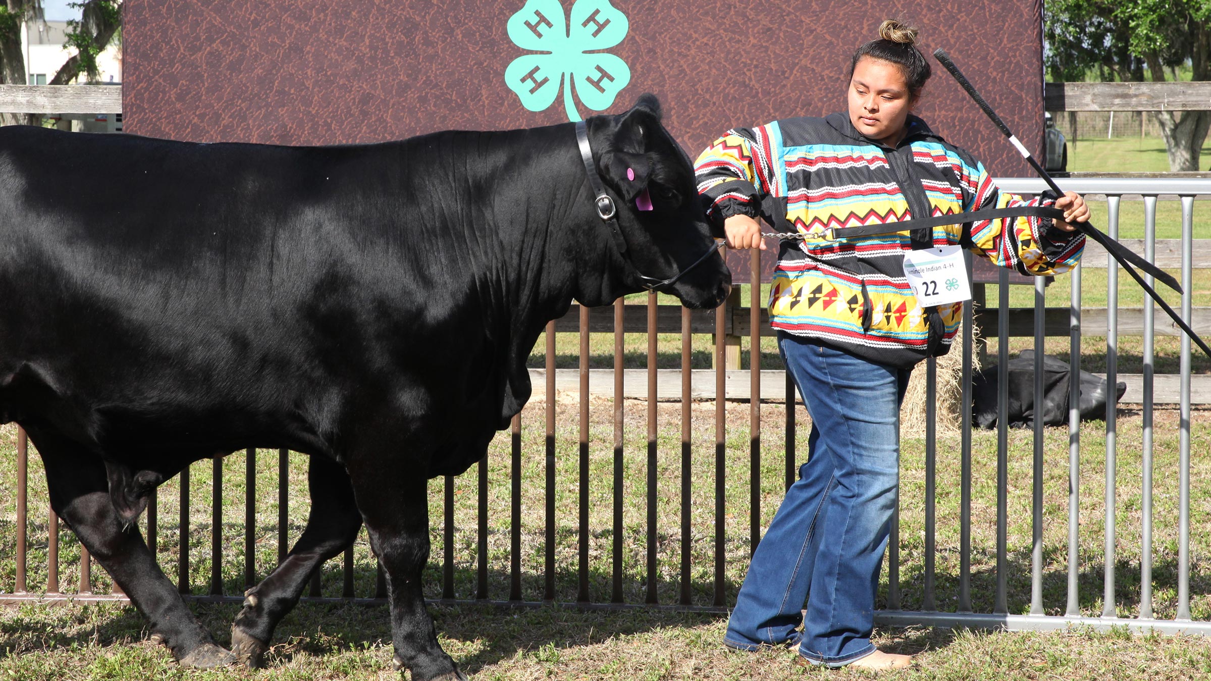 4H-virtual-show-Karlyne-Urbina